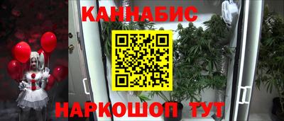 крисы Шахты
