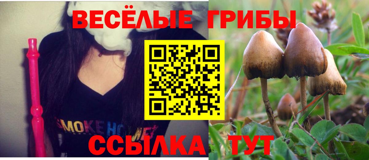Реутов  Галлюциногенные грибы Psilocybe  Вход с VPN 